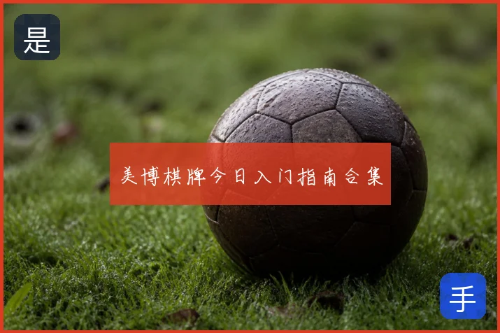 美博棋牌今日入门指南合集